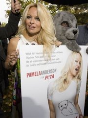 Pamela Anderson en campaa.