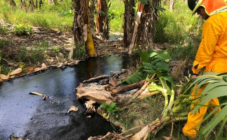 Fuga de hidrocarburo afect arroyos y cultivos agrcolas.