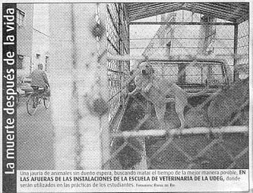 Periódico Público de Nov.5/2002