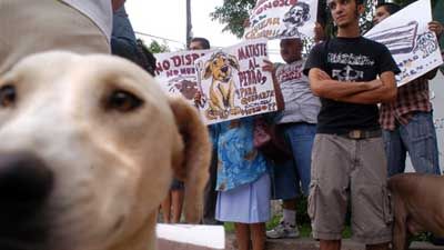 Protesta contra el priista.