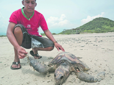 Playa Brasil - El Informador 27/ago/12