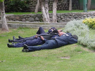 Reponiendo fuerzas?