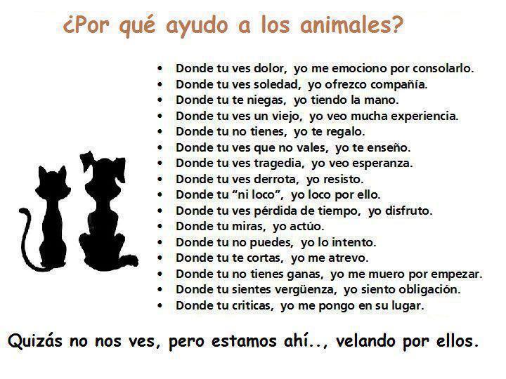 Por qu ayudo a los animales.