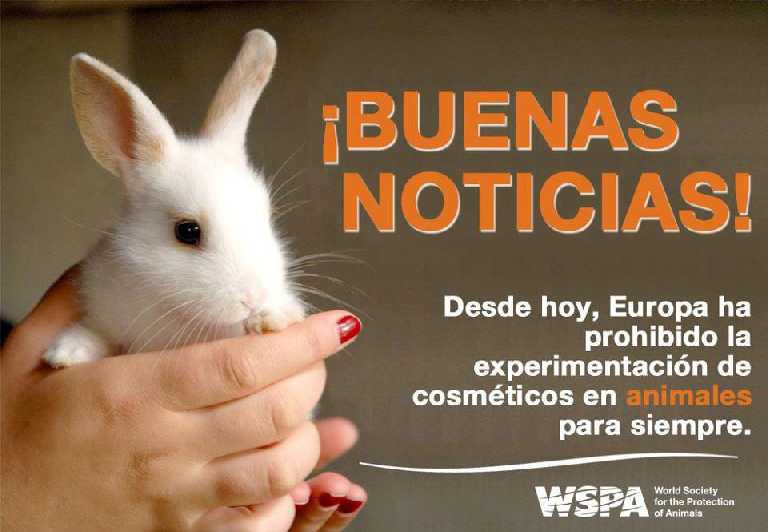 Europa prohibe experimentacin en animales para cosmticos.