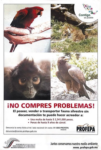 No compres problemas.