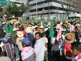 Manifestacin frente a la Sagarpa.