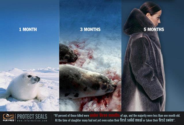 Protect Seals.