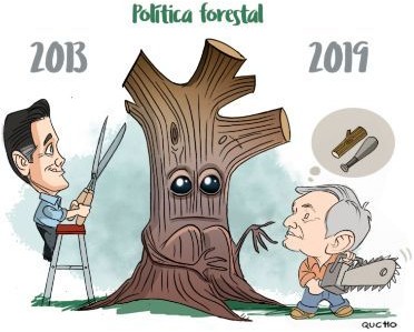 Poltica forestal.