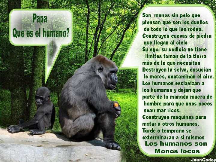 ¿Qué es el humano?