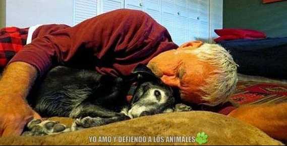 Querido perro: