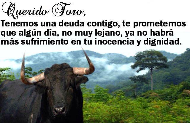 Querido toro.