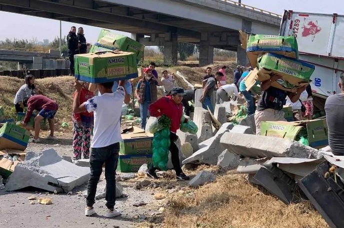 Rapiña de carga verde.