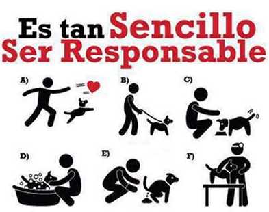 Es sencillo ser responsable.