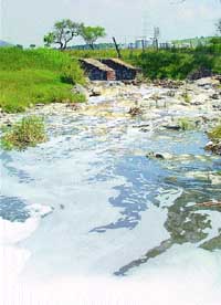 Contaminación en el río Santiago