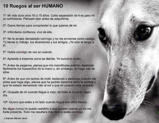 10 ruegos al humano.