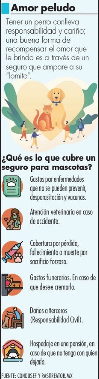 ¿Qué cubre un seguro para mascotas?