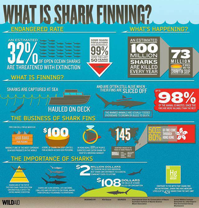 Shark finning.