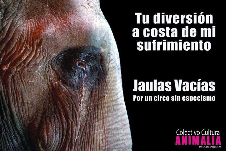 Por un circo sin animales.