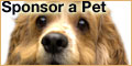 Sponsor a pet