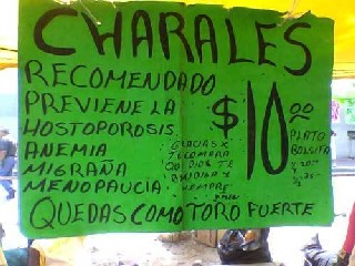 Charales