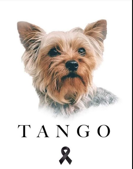 Tango