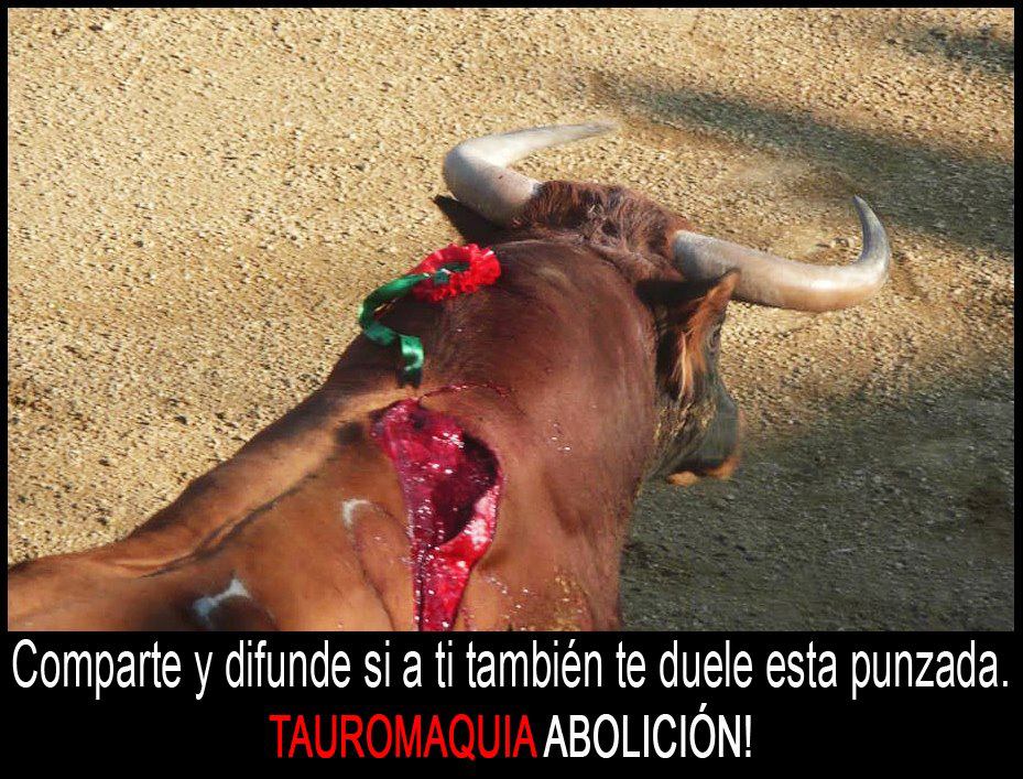 El arte de la tauromaquia.