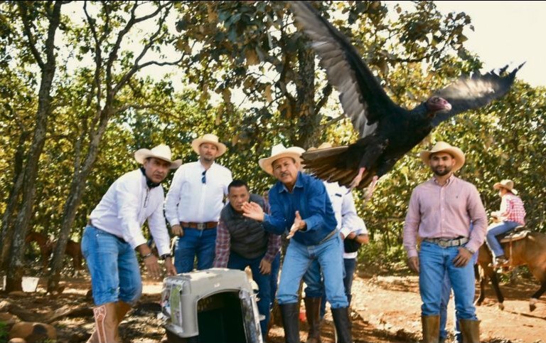 Liberación en Tlajomulco.