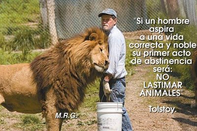 No lastimar animales.