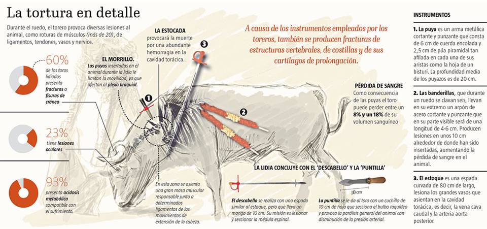 La tortura en detalle.