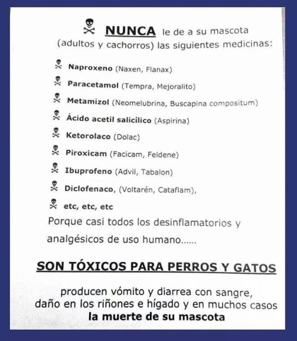 Casi todos los desinflamatorios y analgésicos para humanos son tóxicos para los perros y gatos.