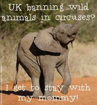 Circos con animales prohibiéndose en Gran Bretaña.