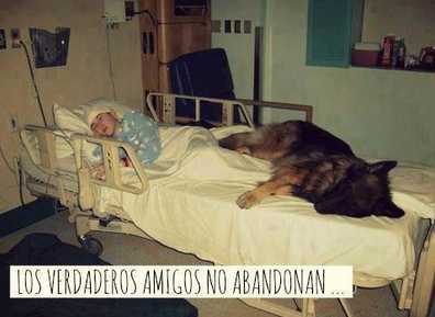 Los verdaderos amigos no abandonan.