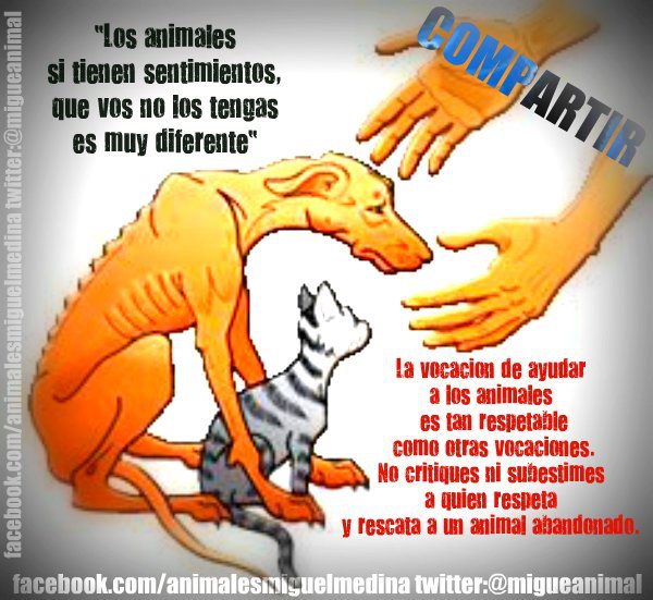 La vocación de ayudar a los animales.