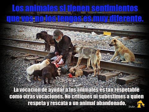 Vocación de ayudar a los animales.