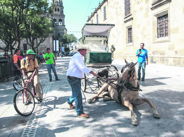 Zona 30 en el centro de Guadalajara.