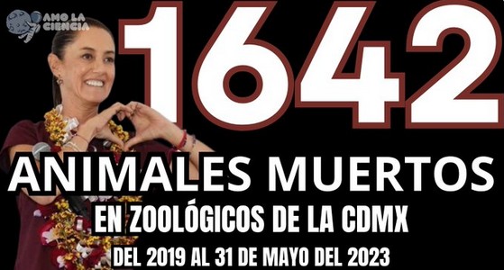 1642 animales muertos en zoológicos de la Ciuda de México.