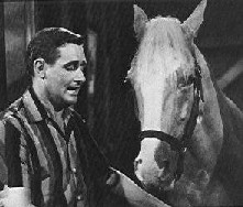 Mister Ed