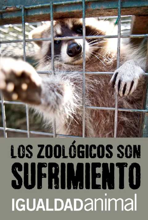 Los zoológicos son sufrimiento.